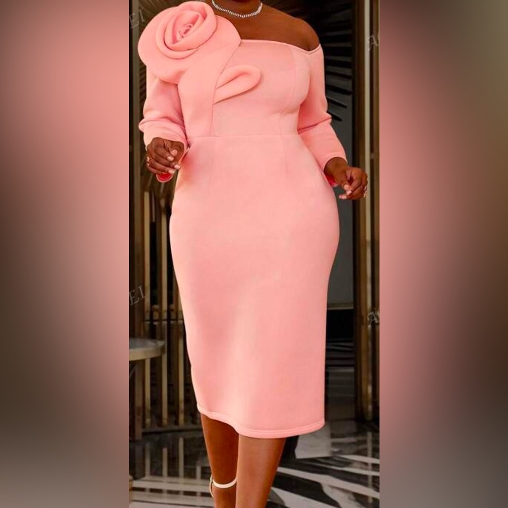 Plus Asymmetrical Neck Stereo Floral
Bodycon Dress